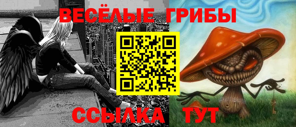 Псилоцибиновые грибы мицелий Соликамск